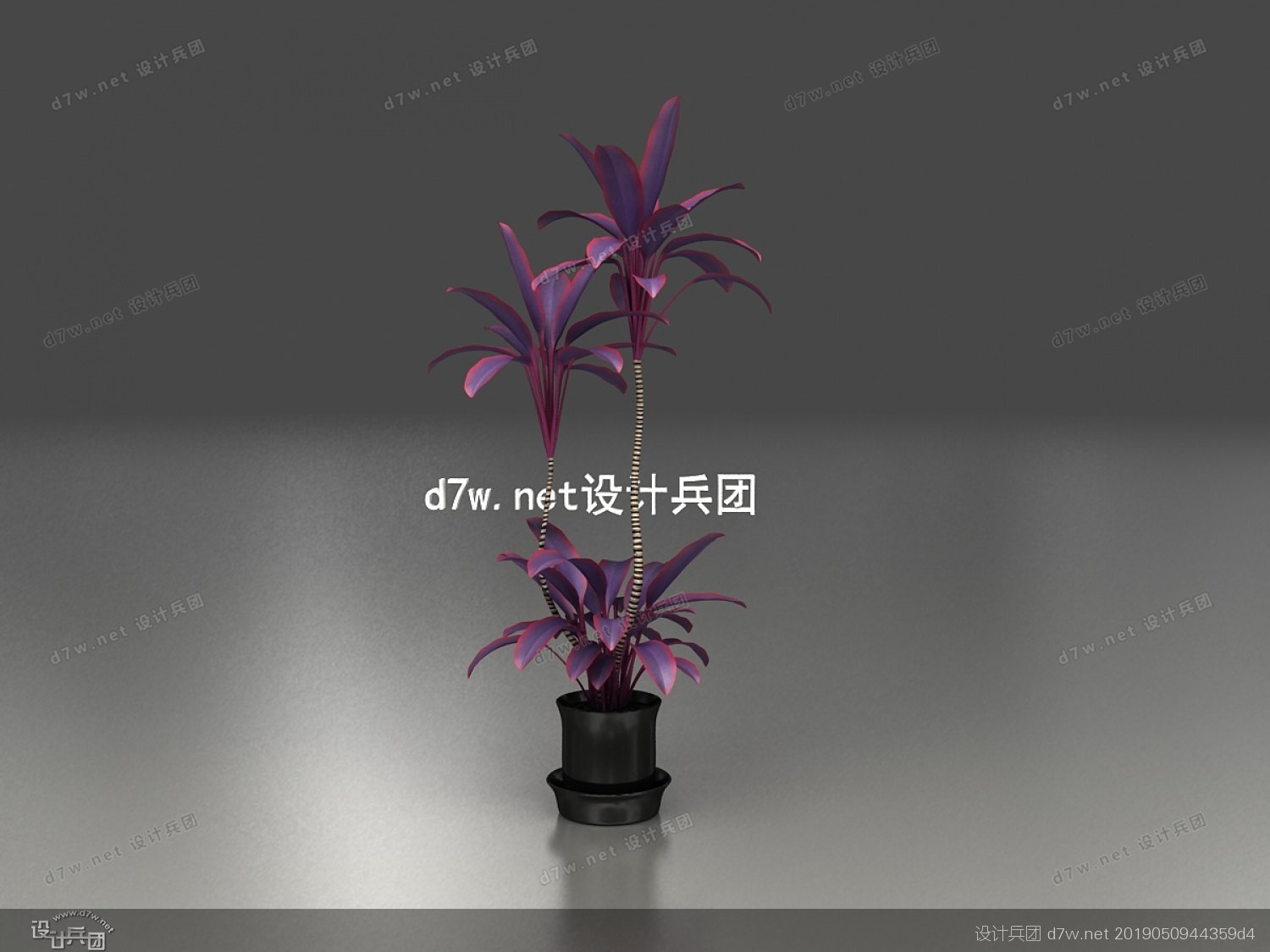 紫色花儿.jpg