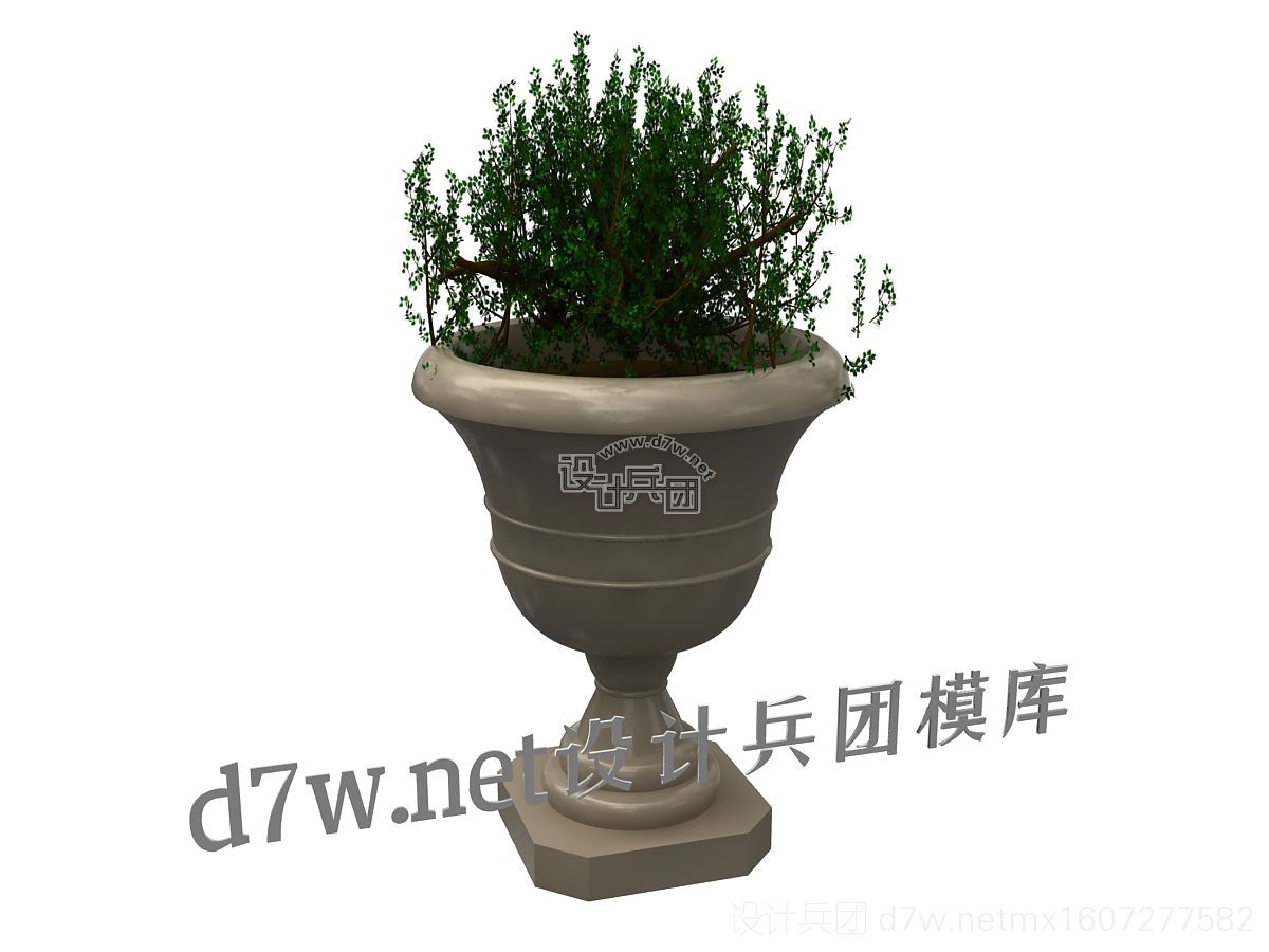 d7w植物05.jpg